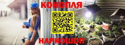гидропоника Сланцы