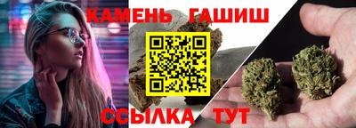 сатива Ставрополь