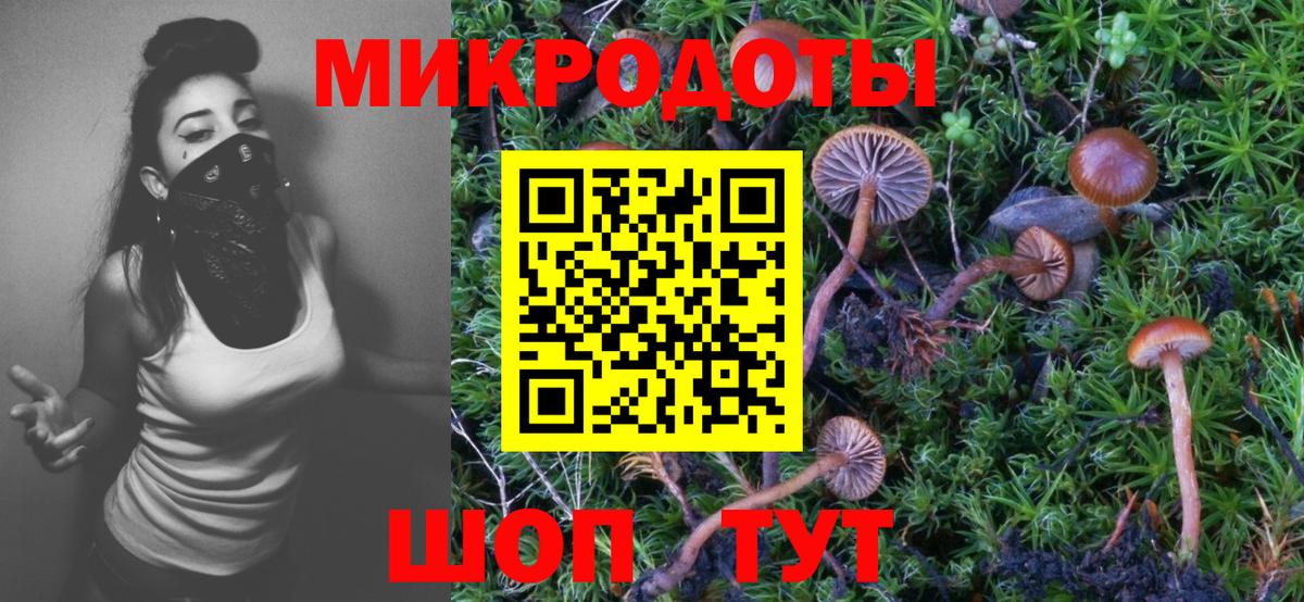 Псилоцибиновые грибы мицелий  Галлюциногенные грибы ЛСД  наркошоп  Вход с VPN  Новотроицк 